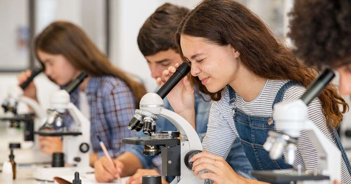 ¿Tenemos lo necesario para fomentar la educación en STEM?