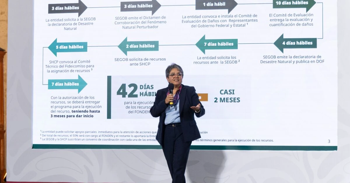 'Olas de calor', burocracia y faltantes: gobierno exhibe irregularidades en el Fonden