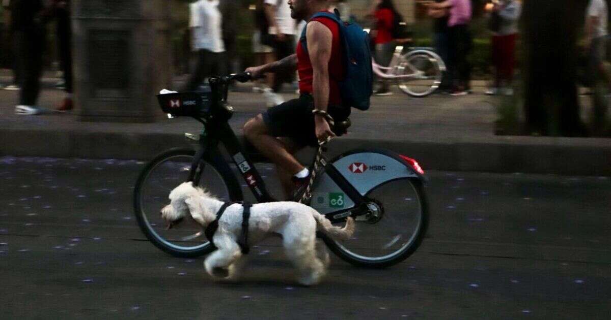 Rodada nocturna decembrina: todo lo que necesitas saber para participar