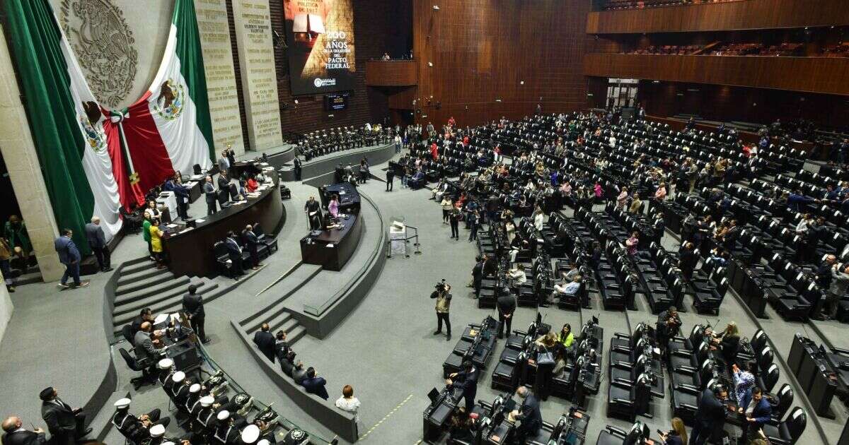 ¿Cuánto gana un diputado federal? Este es el sueldo que perciben