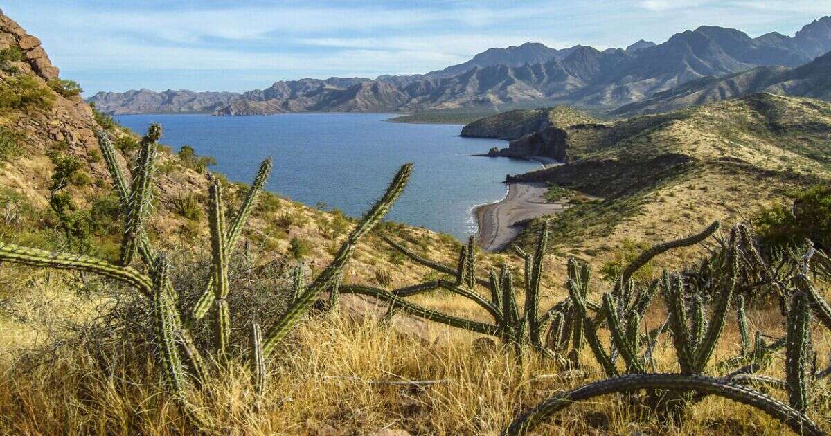 Parques nacionales de México y Canadá para aventurarse en la naturaleza