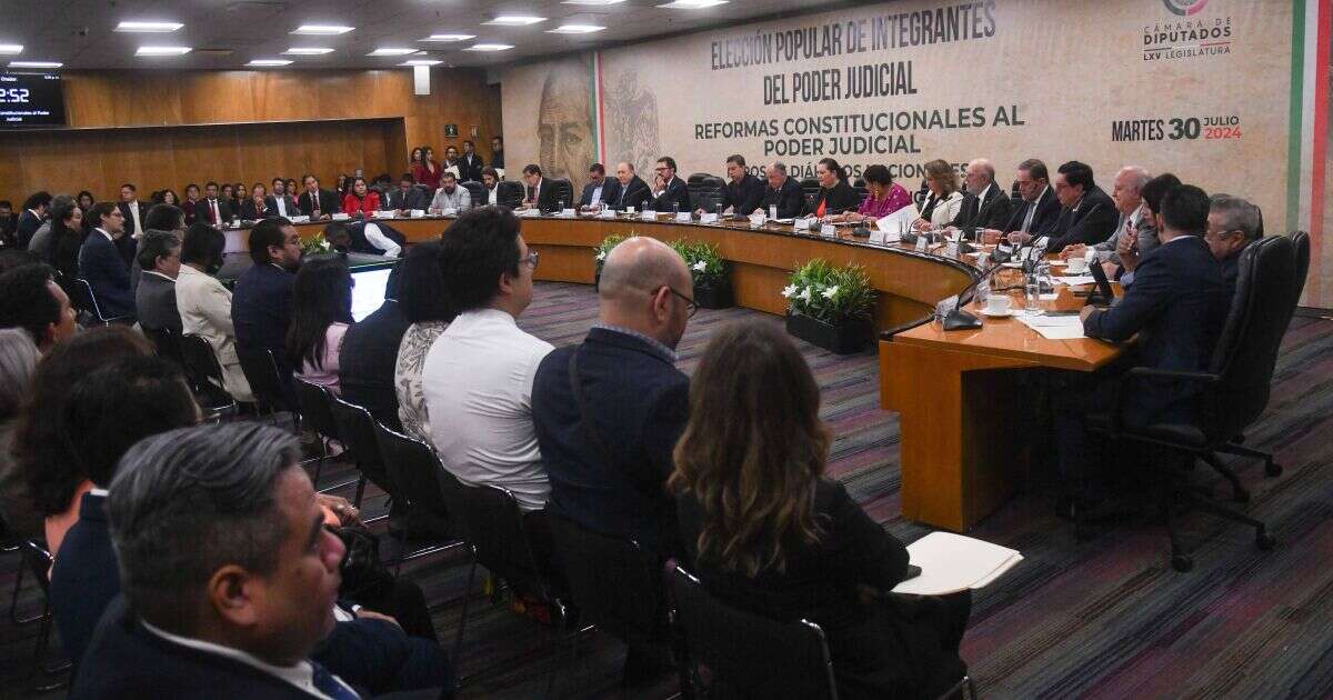 Relatora de la ONU externa preocupación por reforma al Poder Judicial