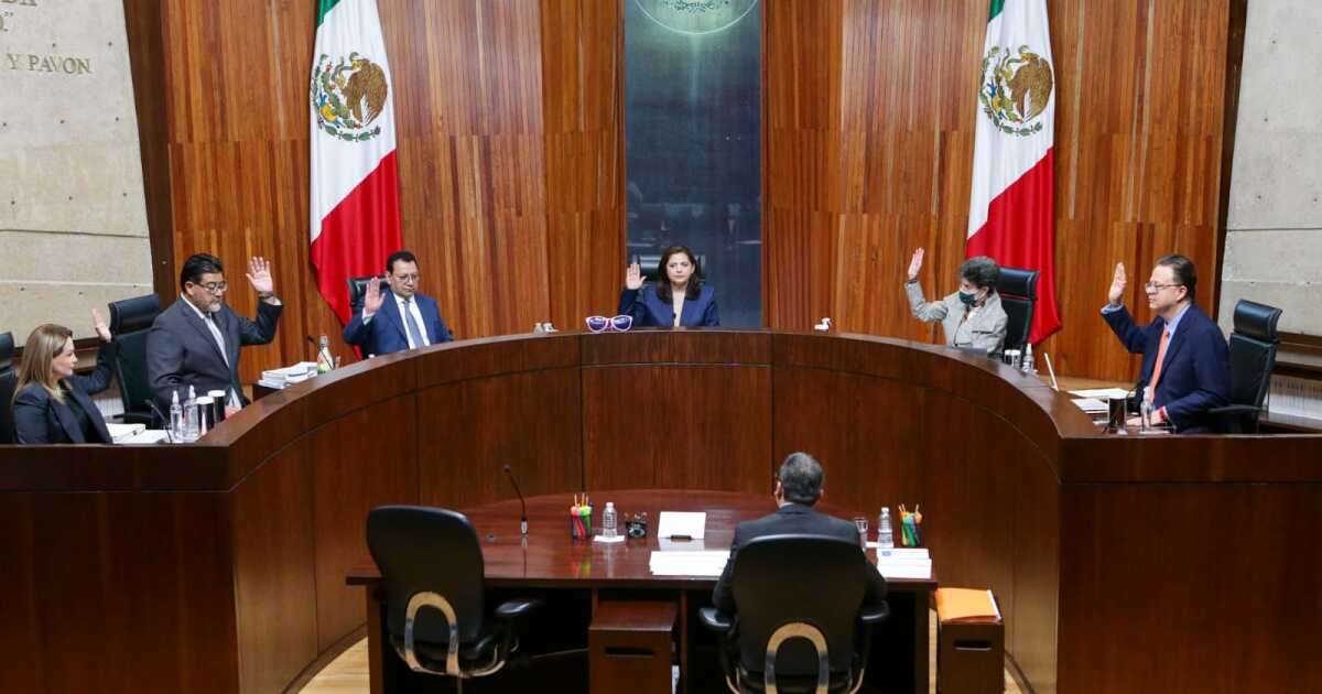 Tribunal Electoral desestima impugnación madre de la oposición a las elecciones