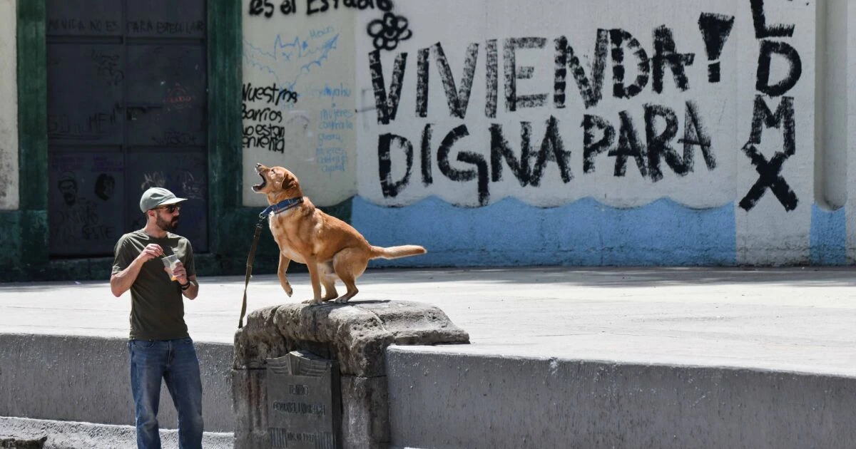La CDMX prepara paquete de reformas y políticas contra la gentrificación