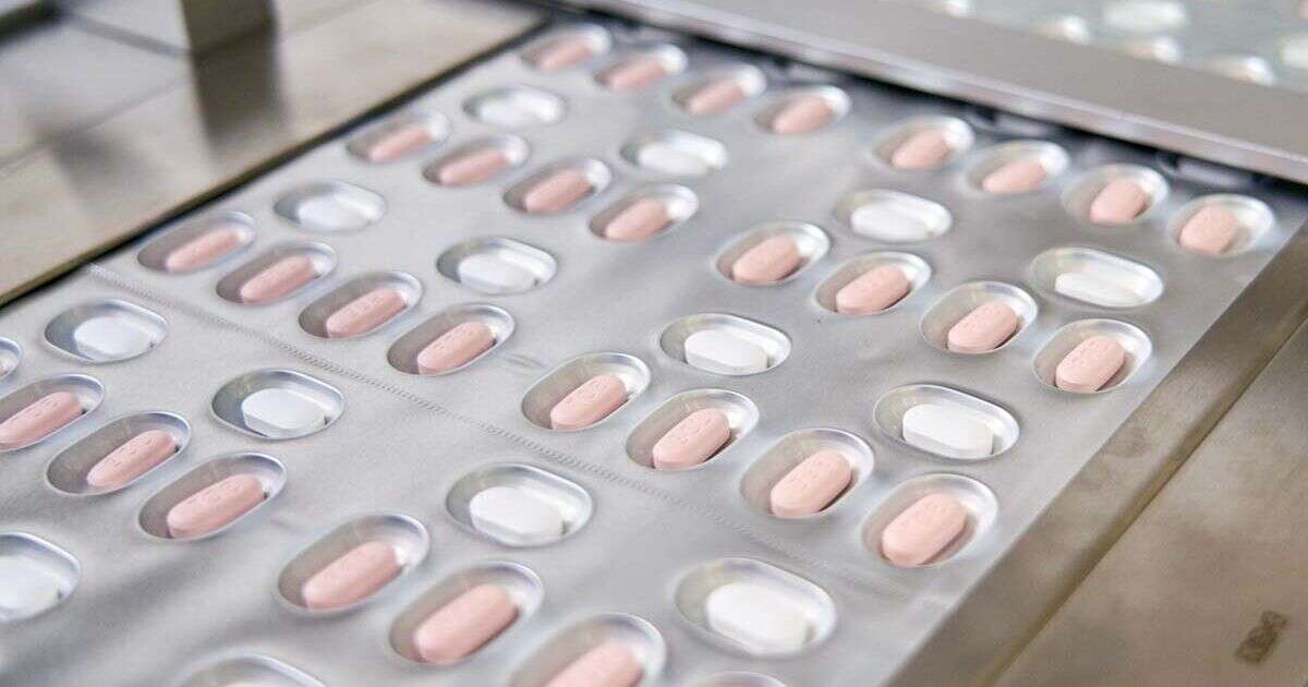 Cofepris aprueba venta en México de Paxlovid, medicamento contra covid-19