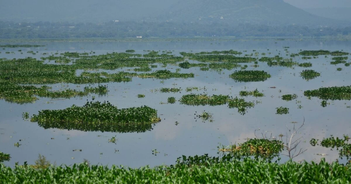 Reforma a Ley General de Aguas va tras concesiones irregulares y sube sanciones