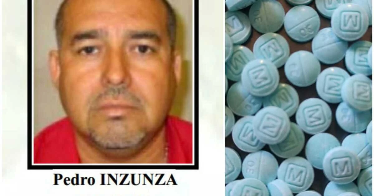 EU imputa por primera vez 'narcoterrorismo' a operadores del Cártel de Sinaloa