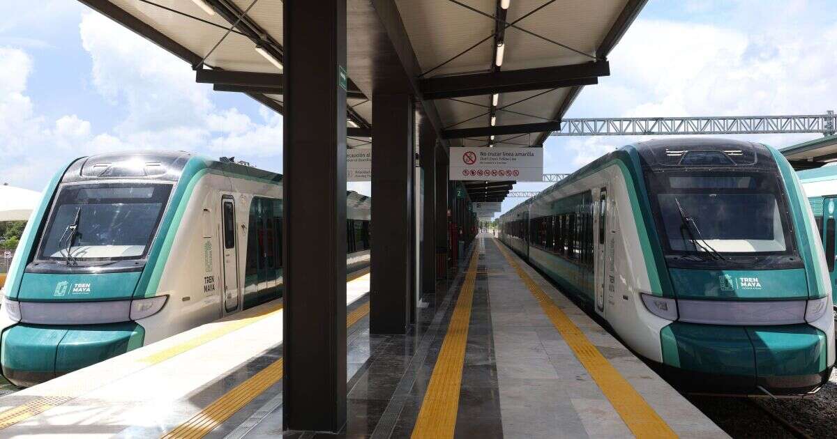 Sheinbaum encarrila presupuesto 2025 a trenes de pasajeros y programas sociales