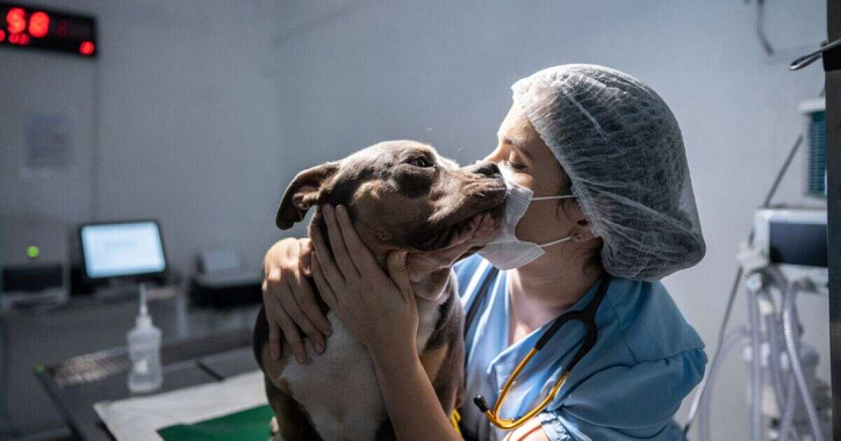 ¿Cuándo es el Día Mundial del Veterinario y por qué tiene dos fechas?