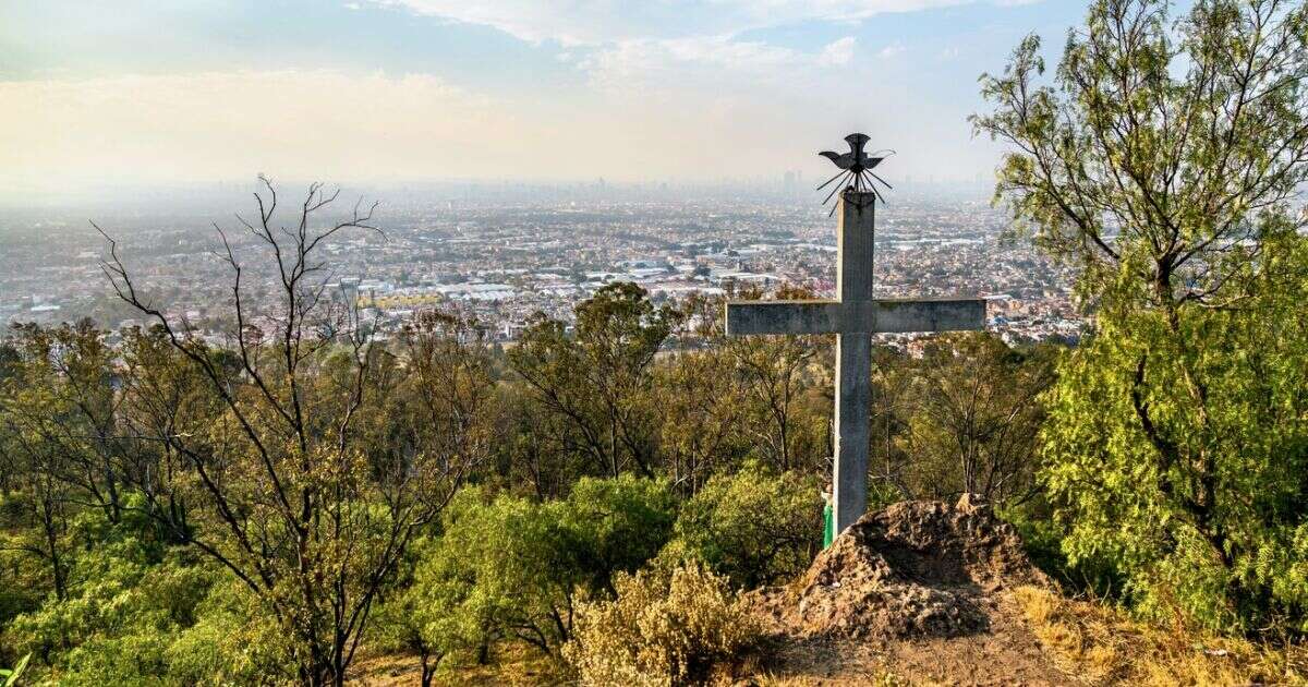 ¿Cuál es la pena por invadir un área natural protegida en la CDMX?