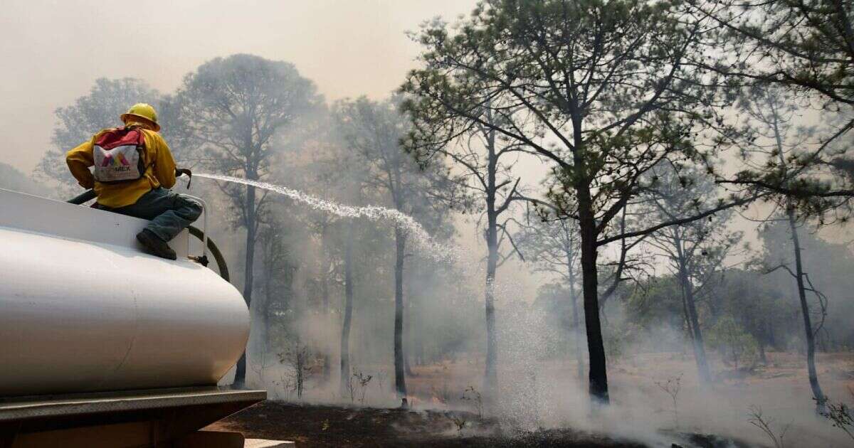 Edomex, CDMX, Jalisco y Michoacán, estados con más incendios forestales en 2024