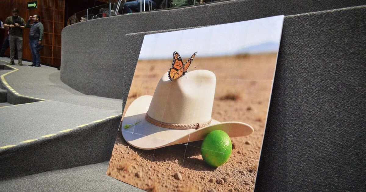 “Condenamos violencia política”, dice Casa Blanca por homicidio de Carlos Manzo
