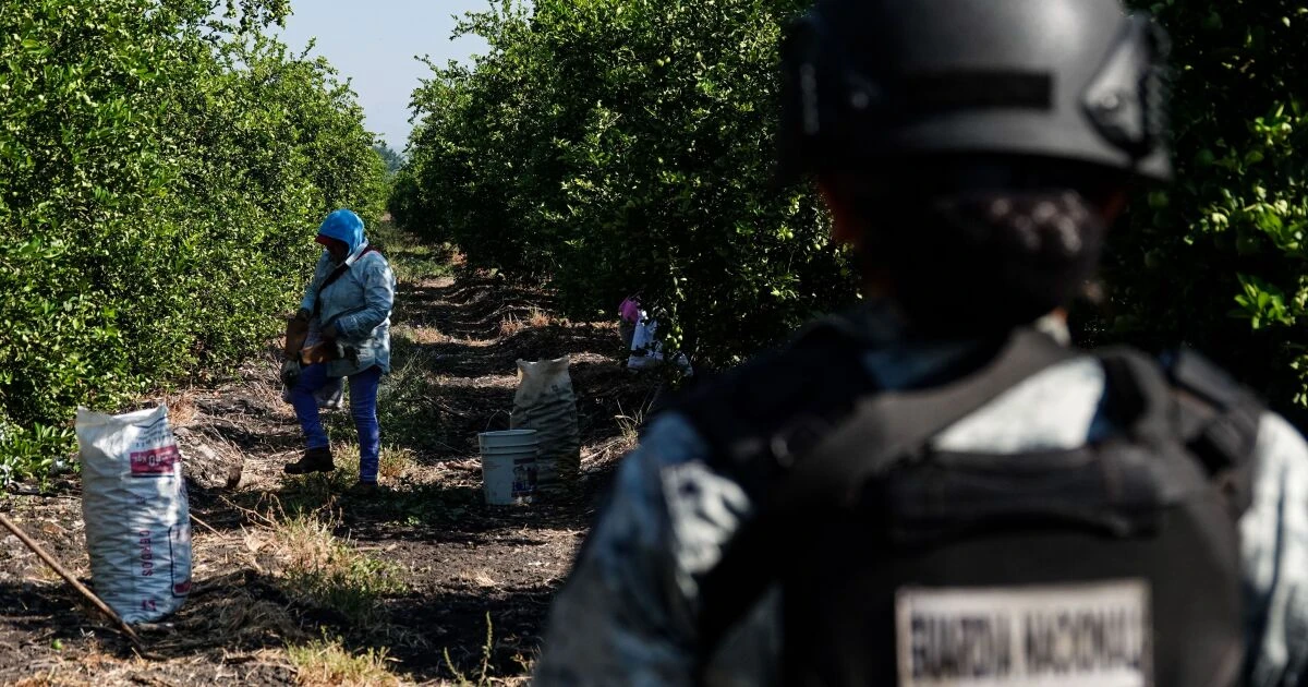Por temor a represalias, 96% de las extorsiones no se denuncian en Michoacán
