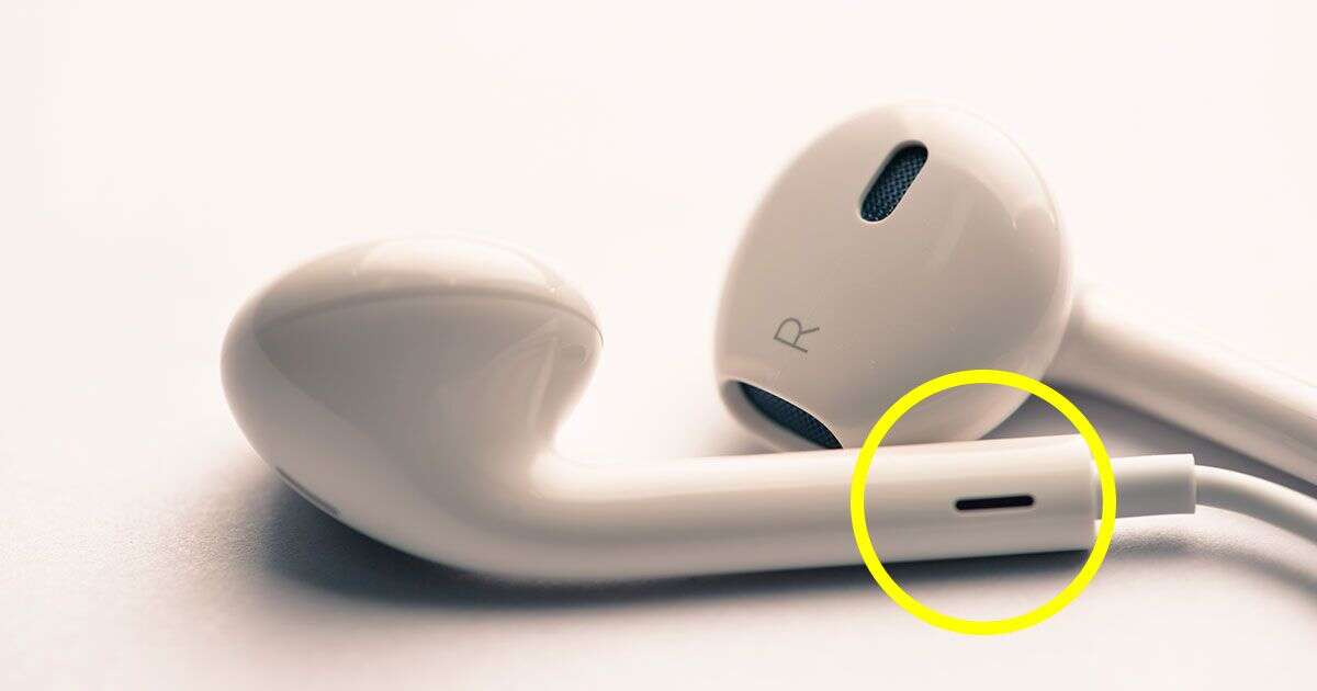 Esta es la función clave que cumplían los orificios de los EarPods de Apple