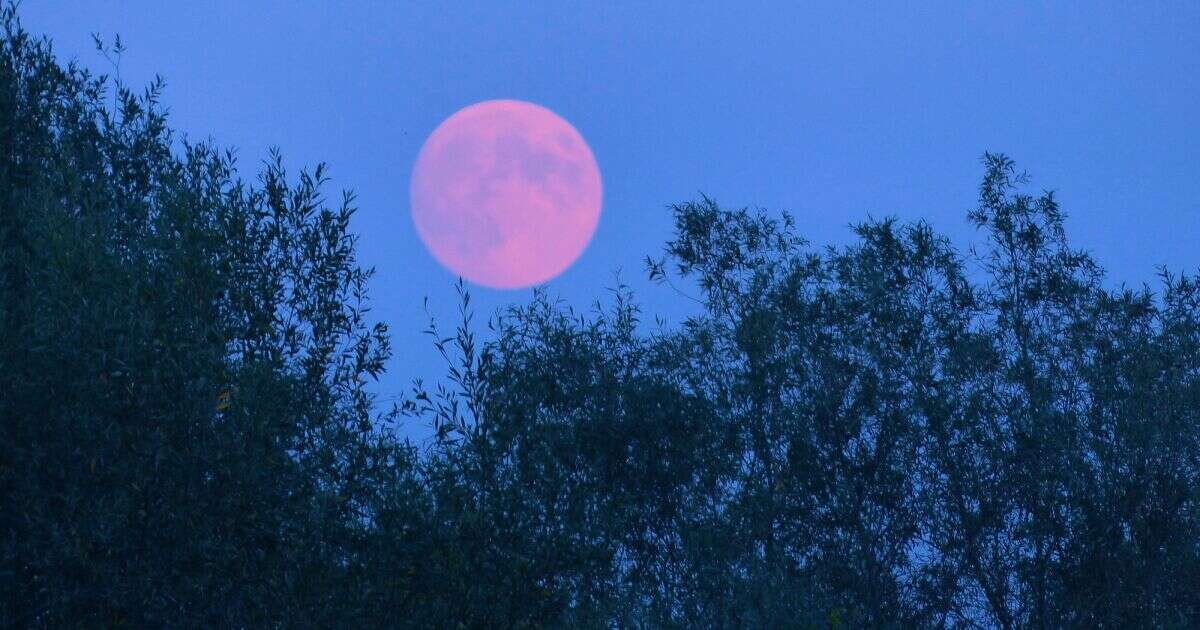 ¿Qué es la luna rosa y por qué pasa en abril?