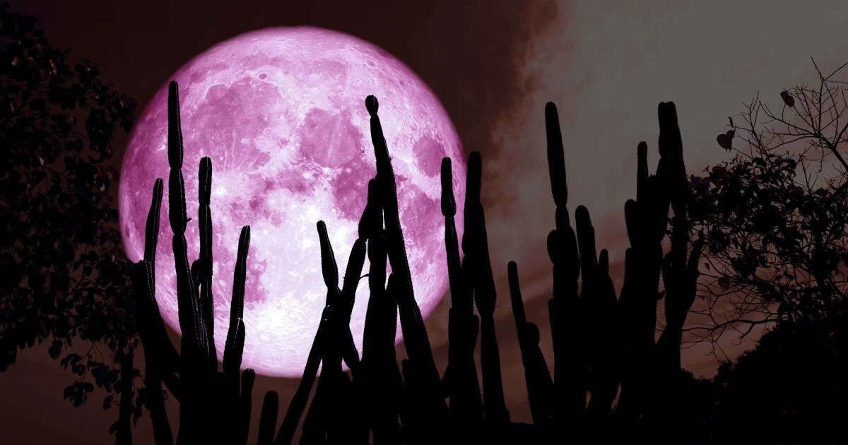 Cuándo y dónde se podrá ver la luna de fresa 2025