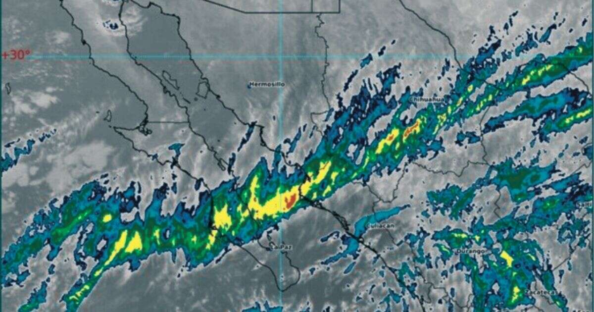 Febrero loco: habrá heladas en el norte y altas temperaturas en la tarde