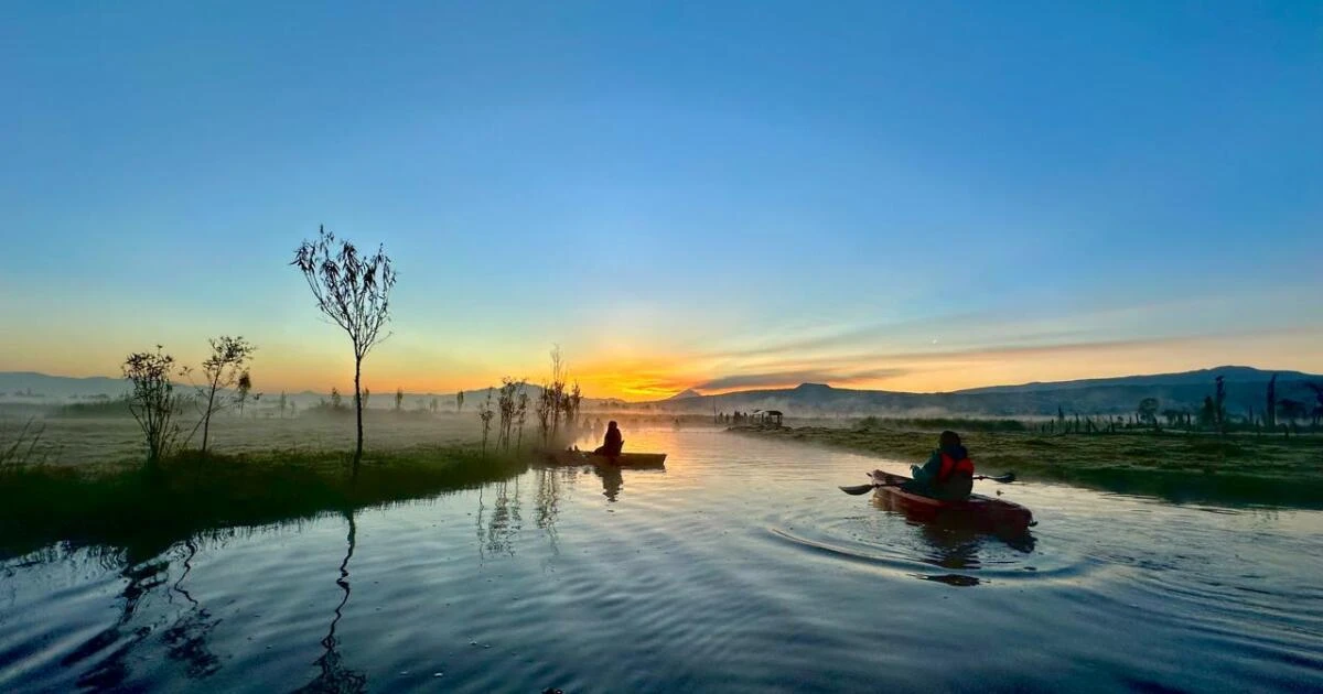 Kayaks en la mira del Congreso CDMX; buscan regular servicios en Xochimilco