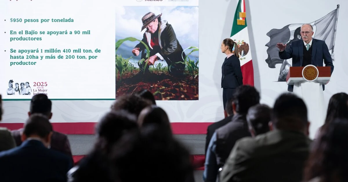 Gobierno logra acuerdo con agricultores; tendrán apoyos de 950 pesos por tonelada de maíz