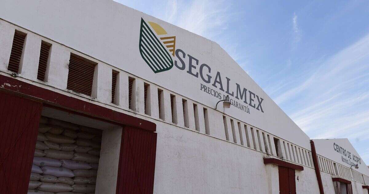 Ejecutivo concreta desaparición de Segalmex; se fusionará a Diconsa