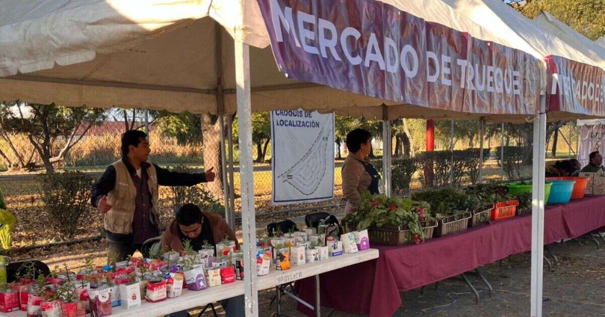 ¿Cómo funciona el Mercado de Trueque de CDMX, que canjea basura por alimentos?