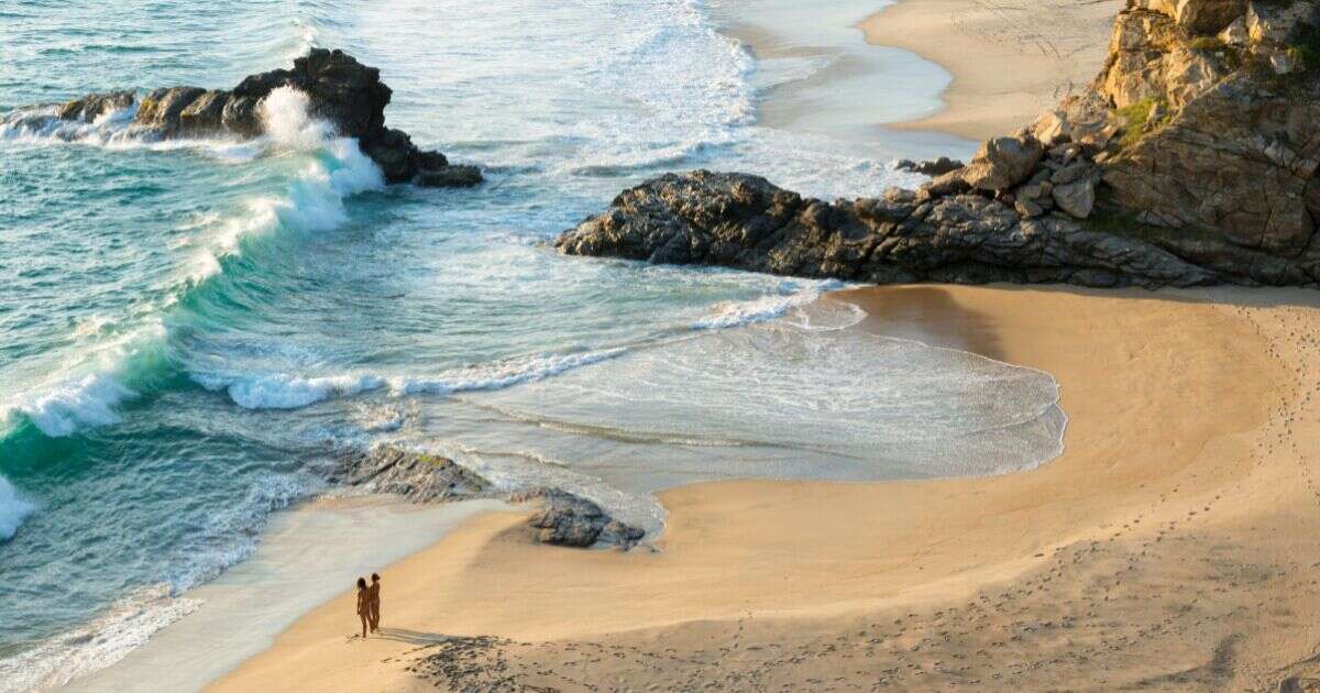 ¿El lunes 3 de febrero es feriado?