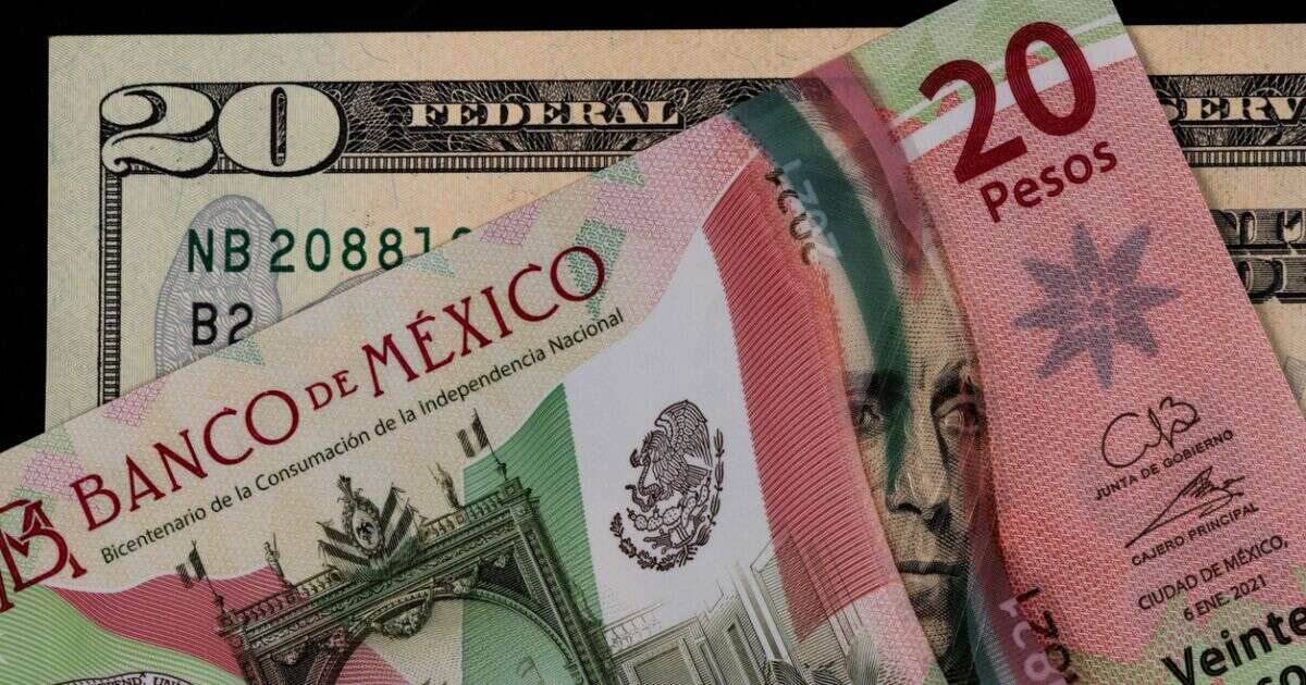 Antes de votar, el peso sabe de botar