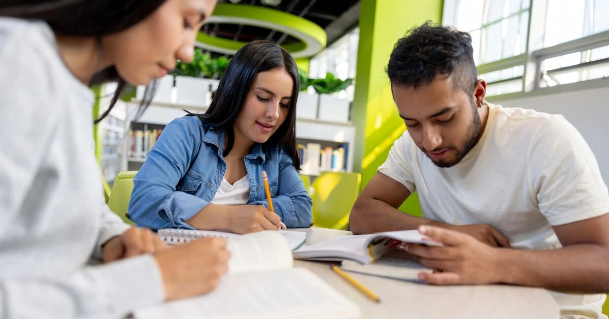Universidad Rosario Castellanos 2025: carreras disponibles y requisitos