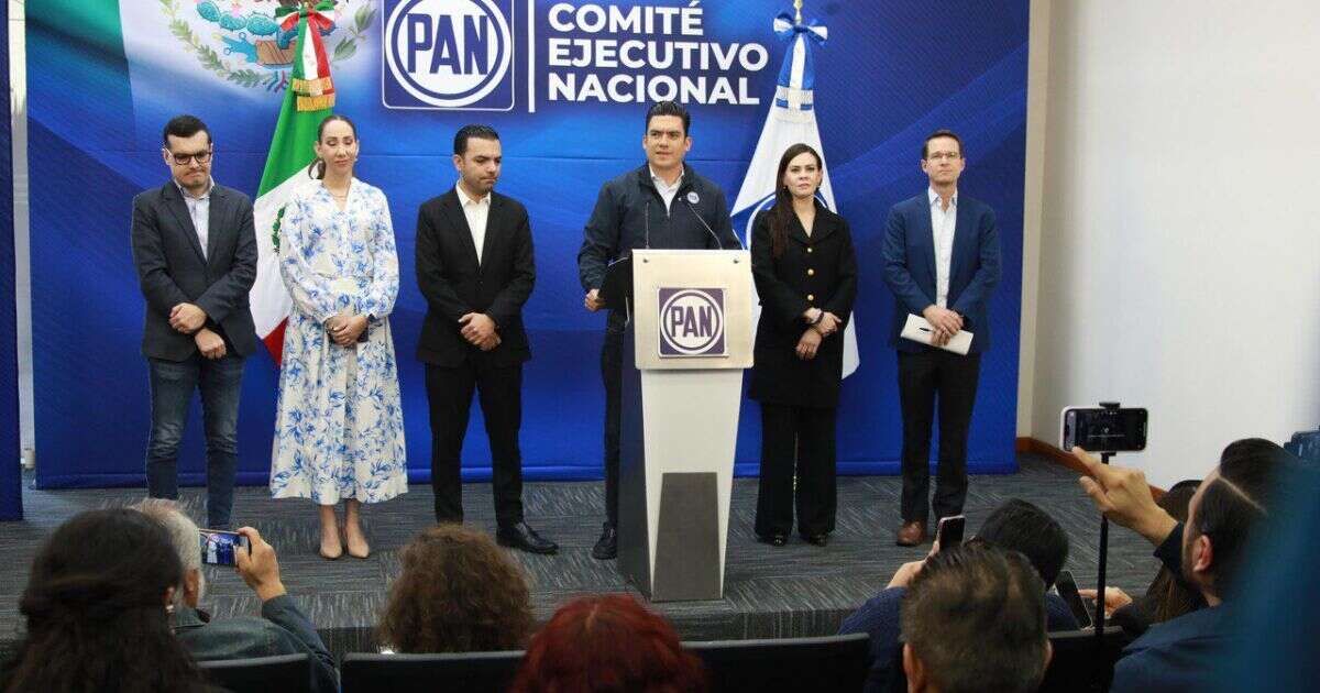 El PAN presentará propuestas para reducir los costos de la gasolina y la luz