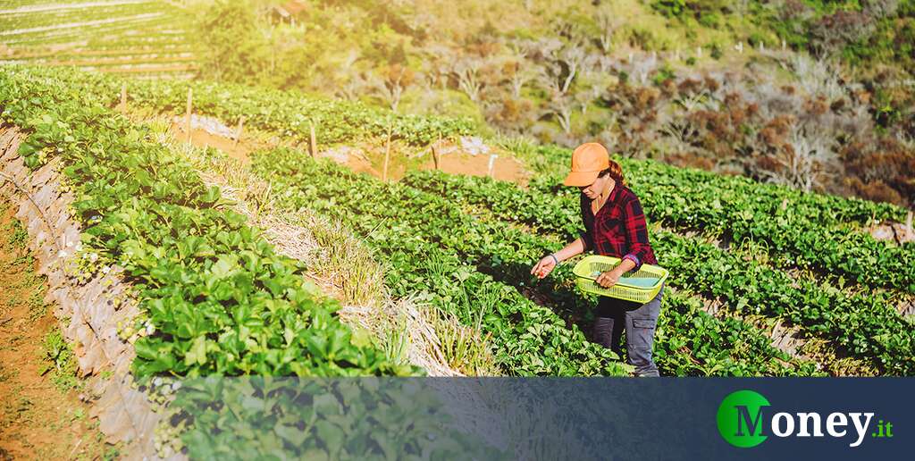 Il problema non è l’Accordo col Mercosur, ma la politica agroalimentare europea che va ribaltata