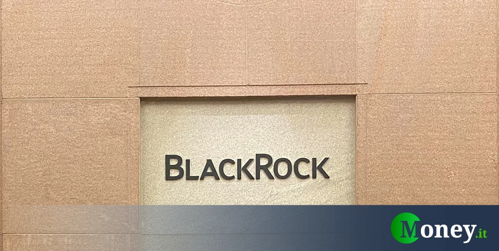 BlackRock e la sua nuova grande scommessa. Secondo azionista di questa società che sta stupendo tutti