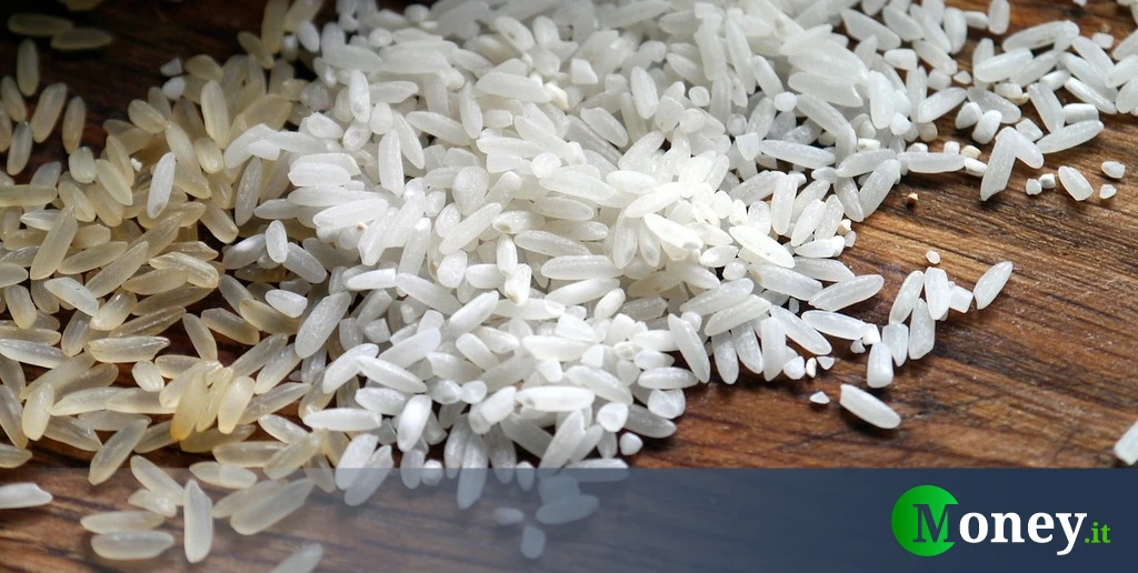 La disputa sul riso basmati tra India e Pakistan frena l’accordo commerciale con l’UE