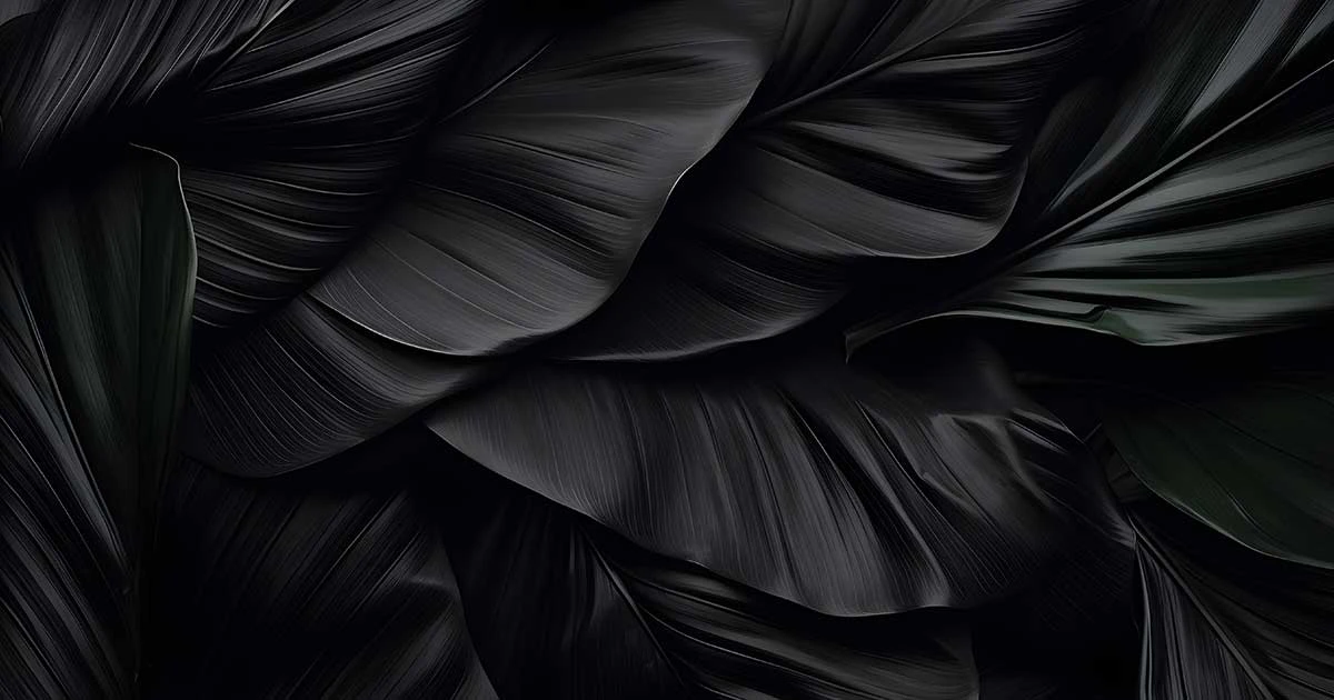 ずばり、練習着の「黒」が好き、三毒様が好き･･･私の思う羽生結弦の色「黒」