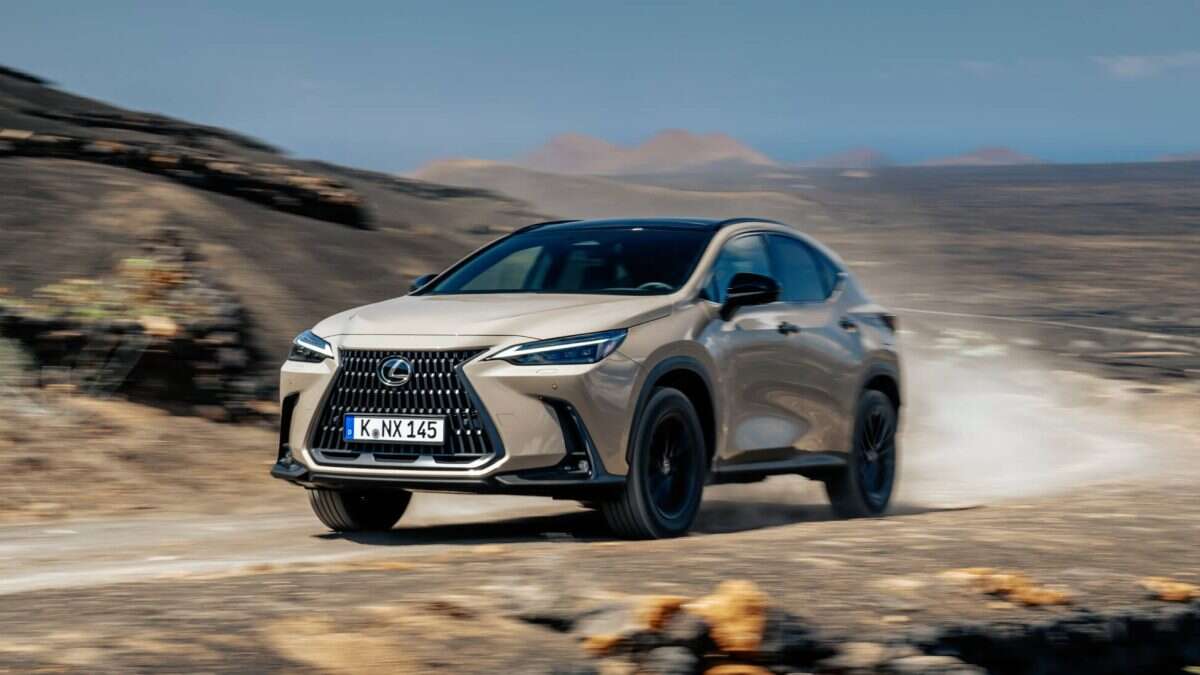 Prueba del Lexus NX Overtrail: hasta donde él quiera llegar