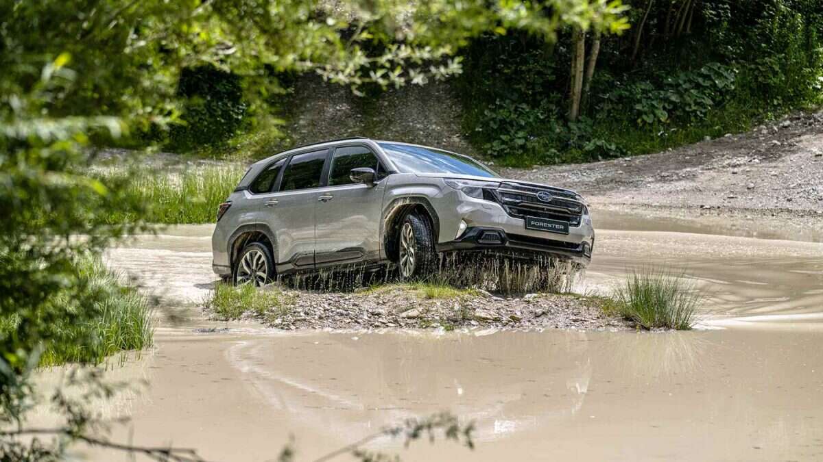 Subaru Forester: diseñado para la aventura del día a día