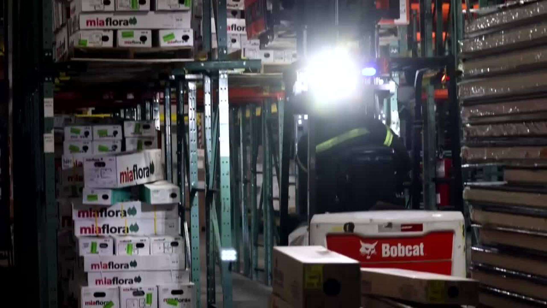 Inspeccionan flores sudamericanas en aeropuerto de Miami antes de San Valentín