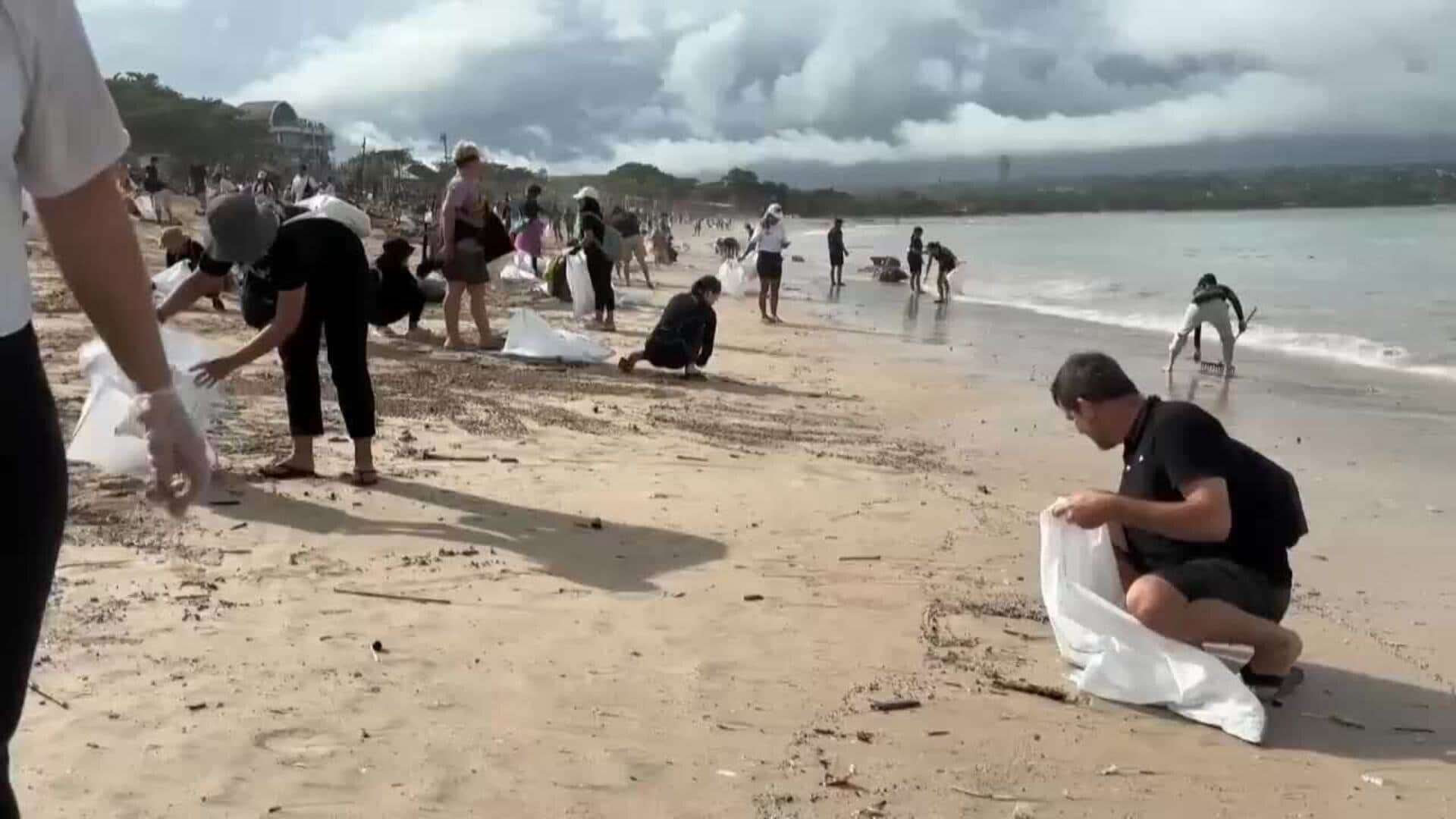 Locales y turistas realizan limpieza de playa en Bali, Indonesia