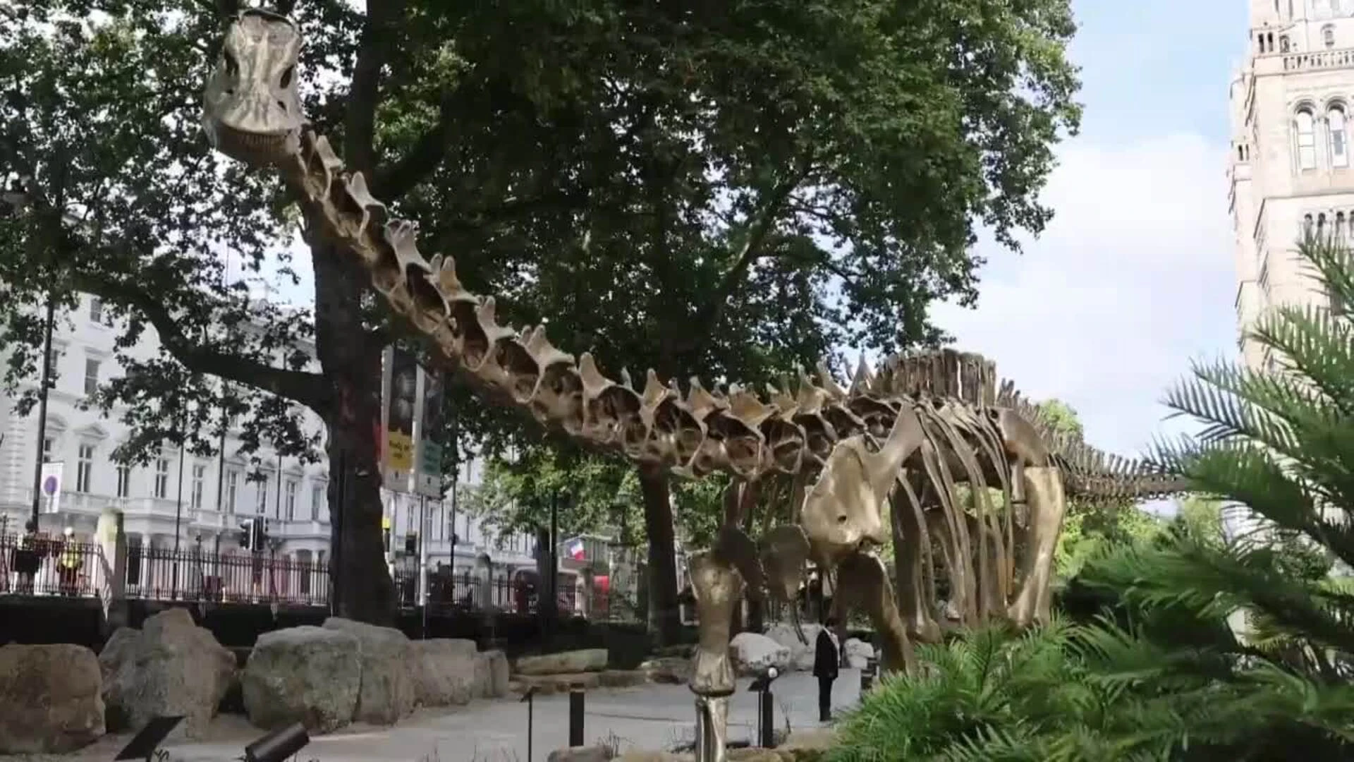 La escultura de un Diplodocus adorna los jardines del Museo de Historia Natural de Londres