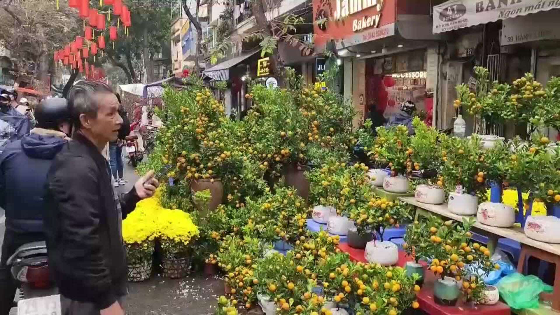 Vietnamitas compran flores de durazno ante la llegada del Año Nuevo Lunar