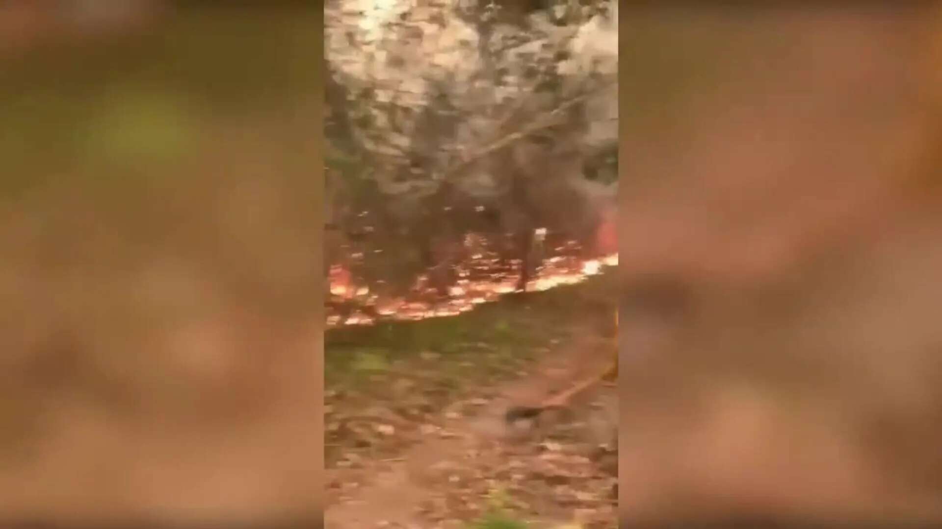 Incendios en Bolivia 