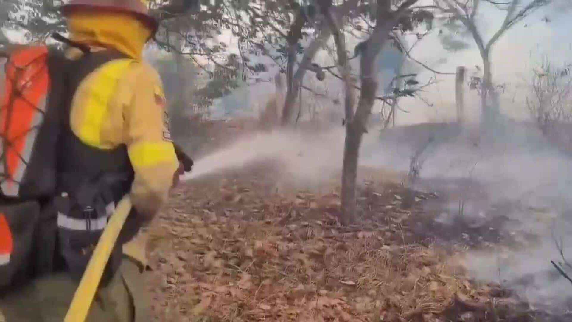 Ecuador enfrenta once incendios forestales, tres de ellos en Quito, que mantiene alerta