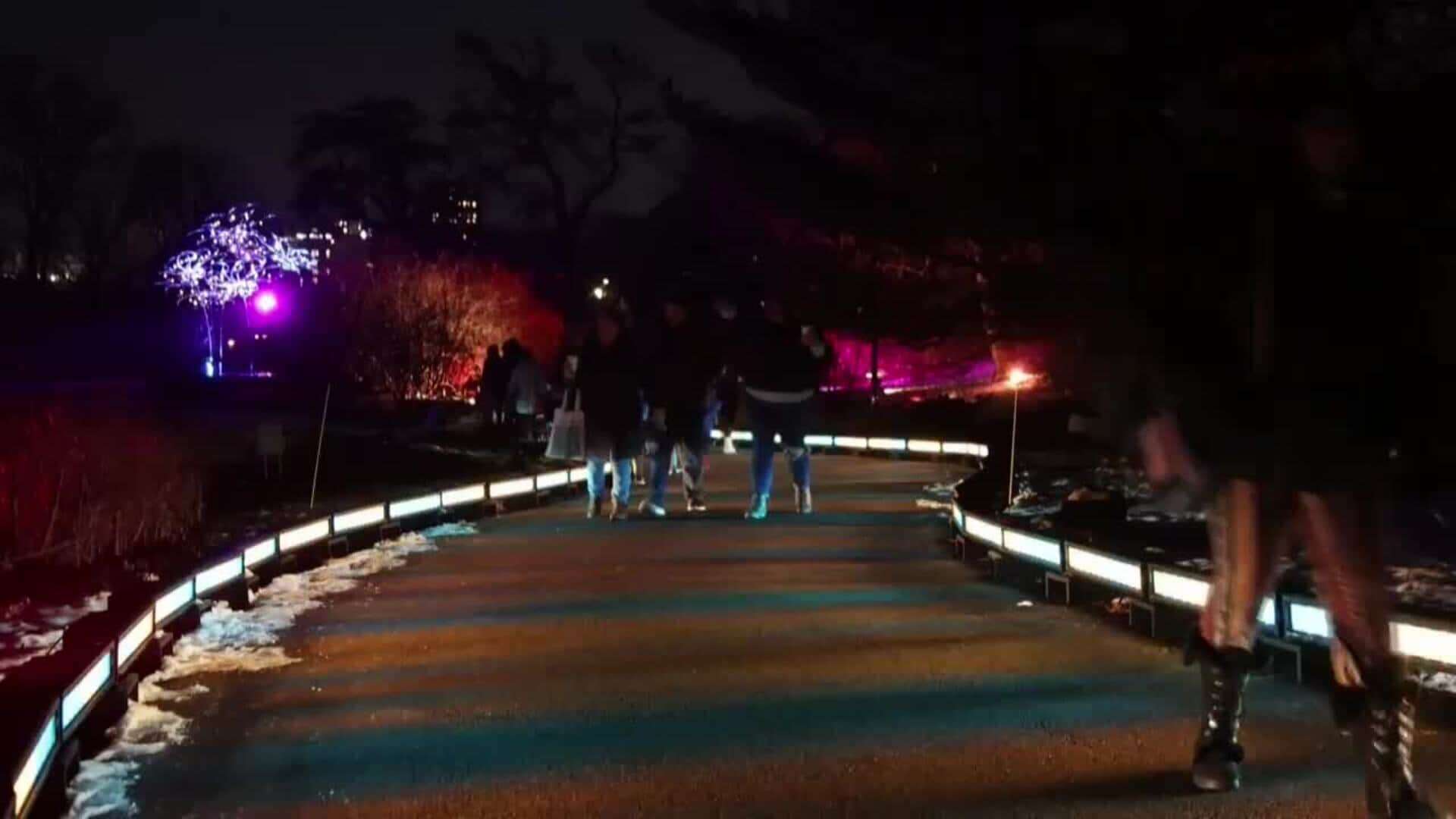 El sendero Lightscape del Jardín Botánico de Brooklyn ilumina las festividades en Nueva York