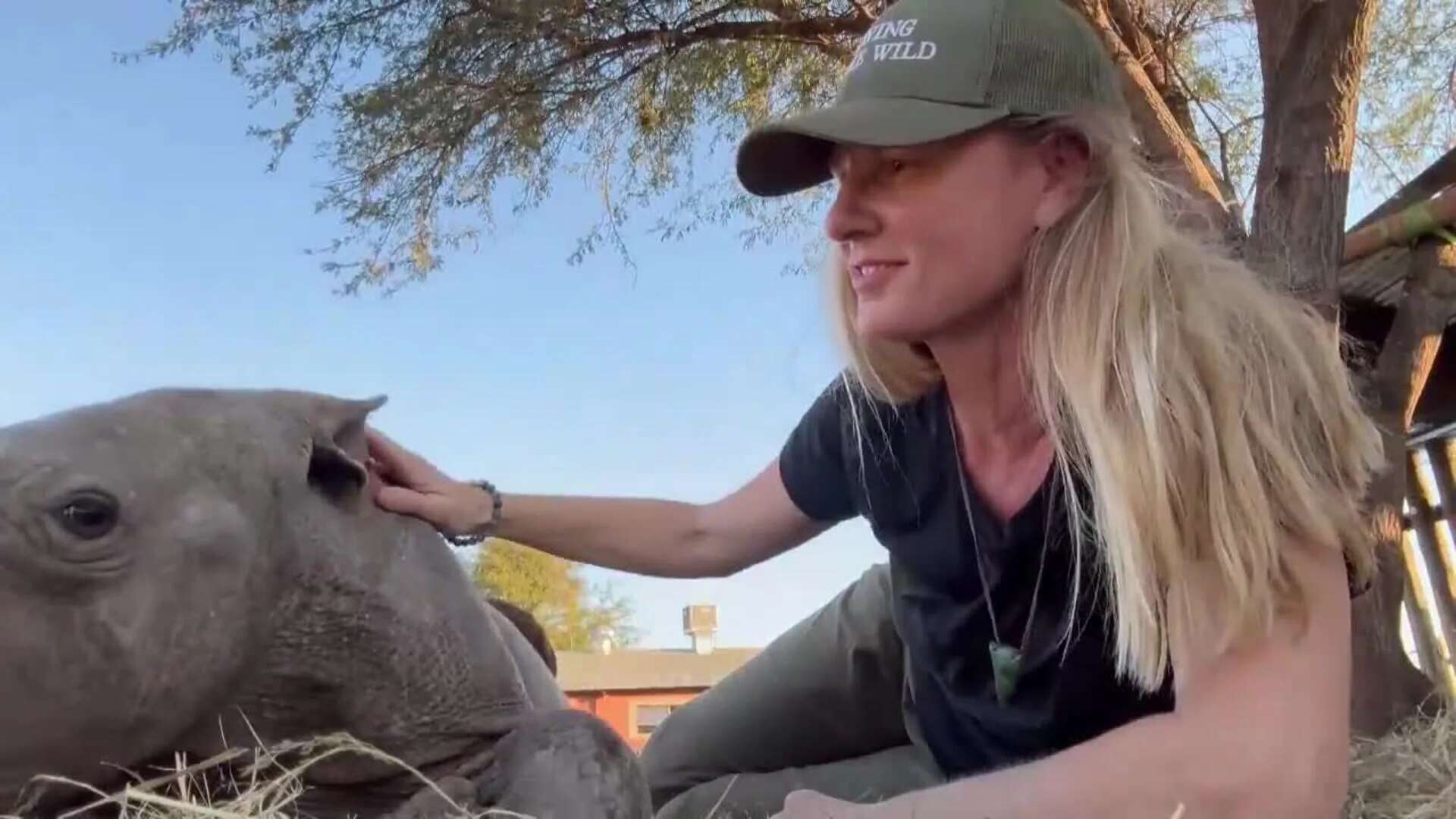 David y Jonathan, crías de rinoceronte huérfanas, embajadores de la campaña #RhinoLaws