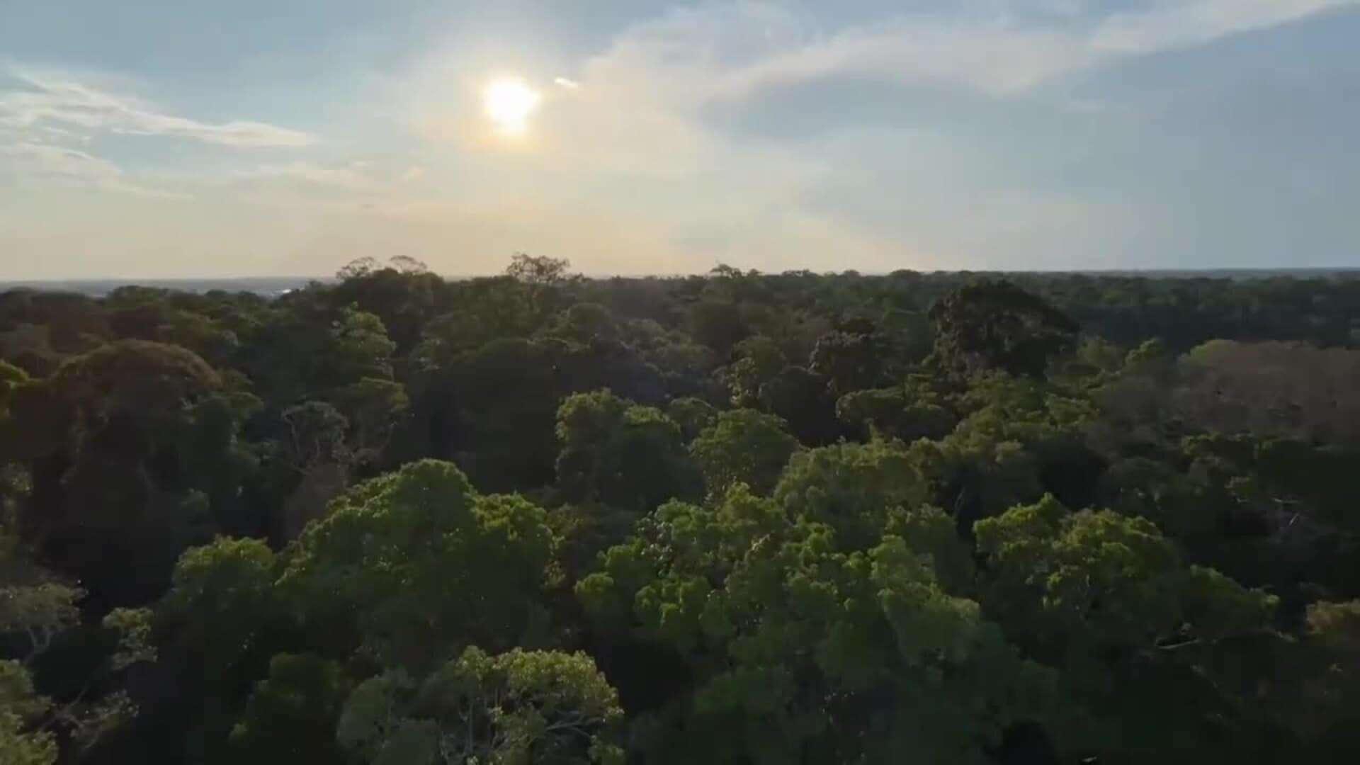 Reina María de Dinamarca visita la Reserva Adolpho Ducke en Manaos