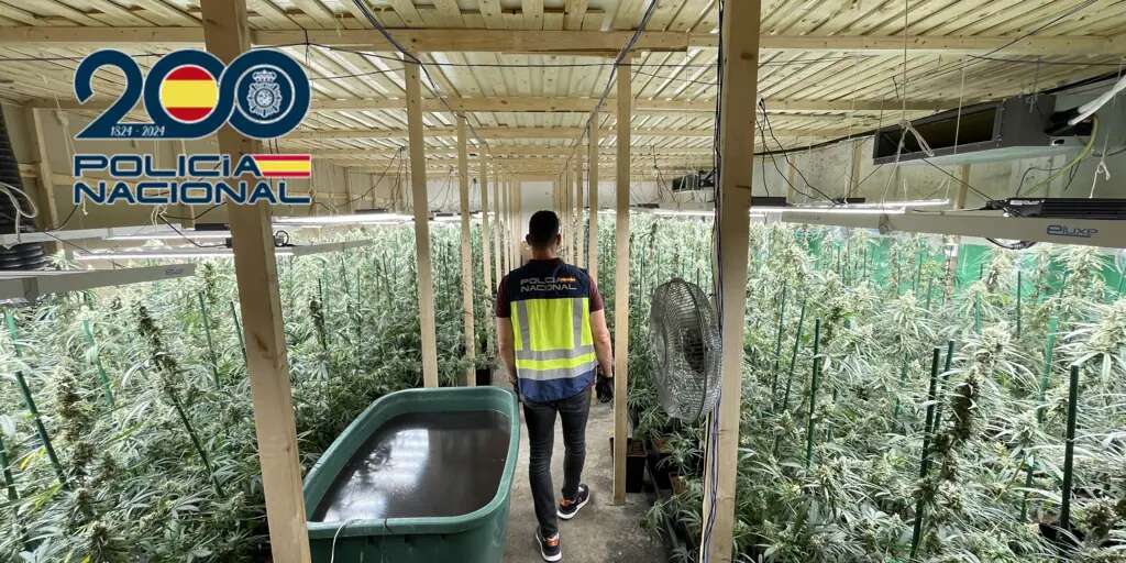 Un hilo de humo conduce a la Policía a una nave con mil plantas de marihuana cultivadas por un hombre en situación irregular en España