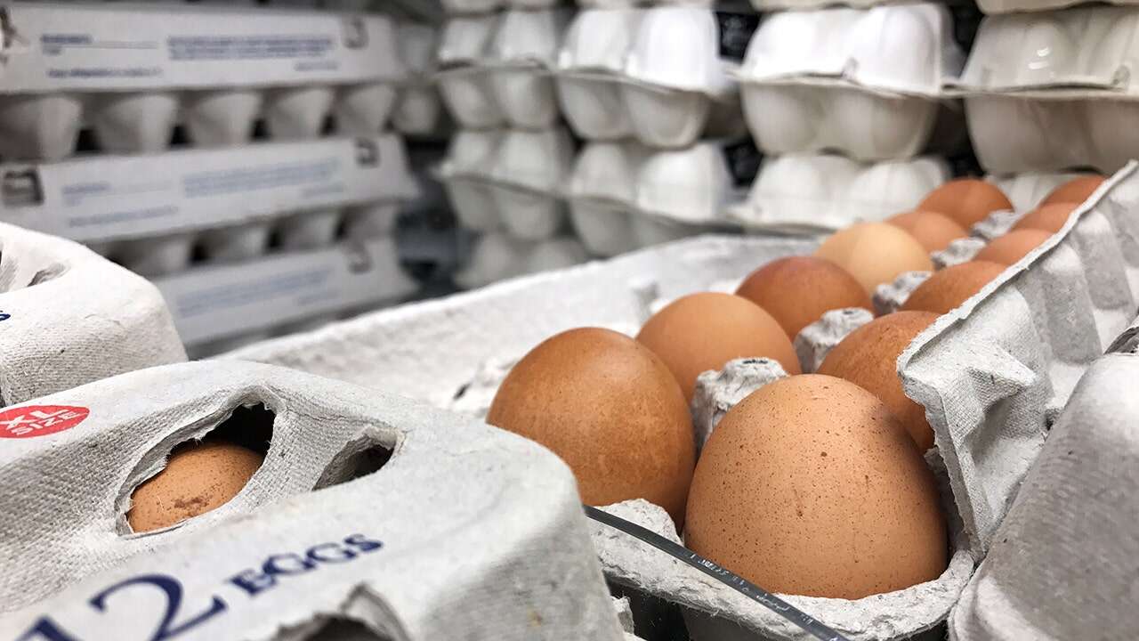 Farmers react to Trump's plan to combat egg crisis