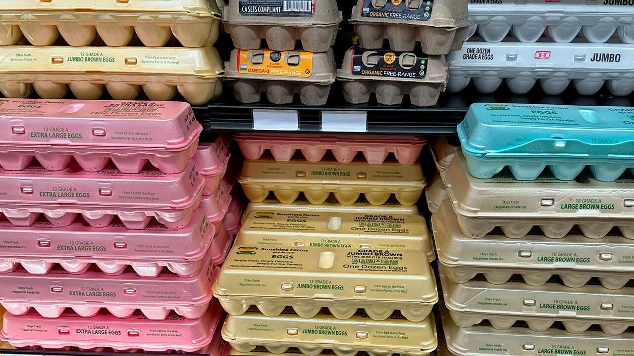 Egg prices aren't coming down anytime soon, experts say