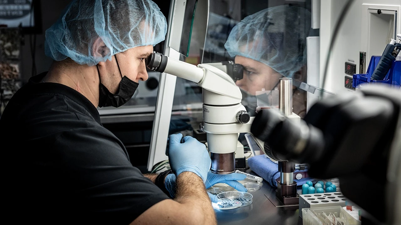IVF: The financial burden families could face