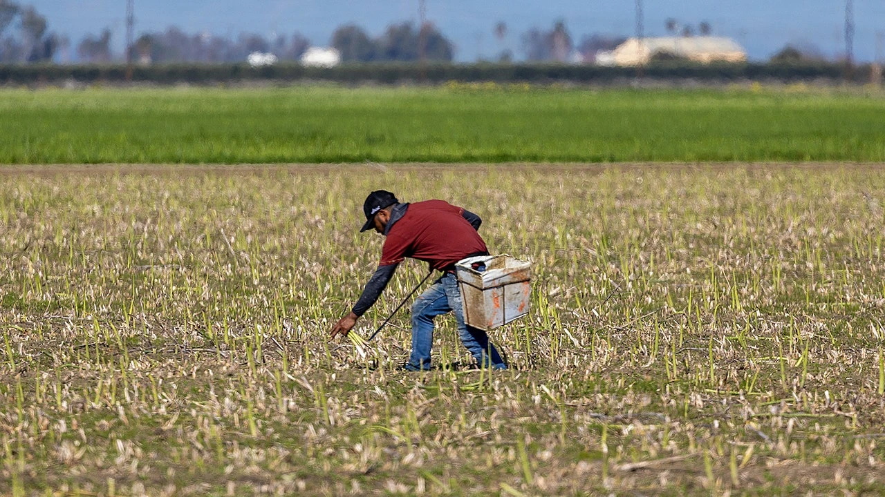 Chipotle and Sweetgreen bet big on small farmers amid agriculture crisis