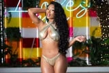 Megan Thee Stallion Casually Debuted Her New Swim Line on 